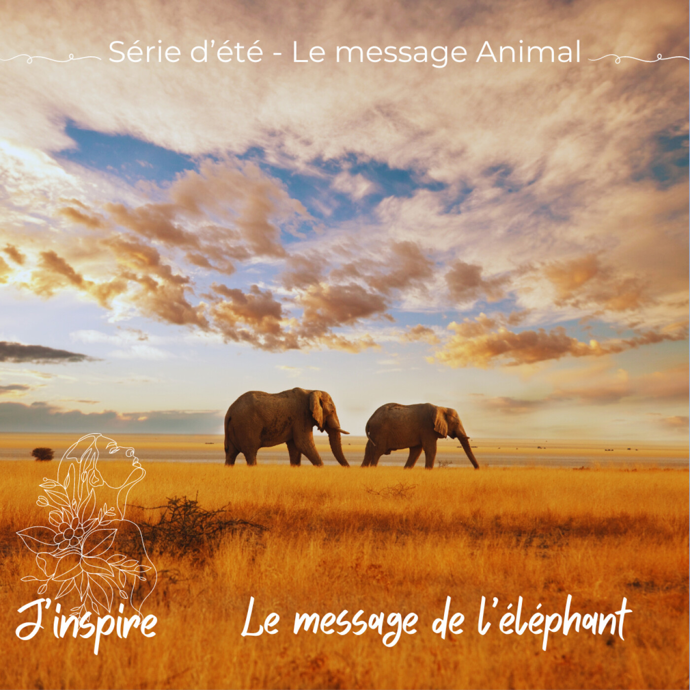 J\'inspire