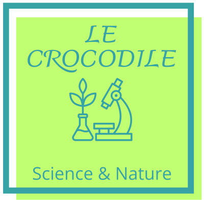 Le Crocodile: Superprédateur cover