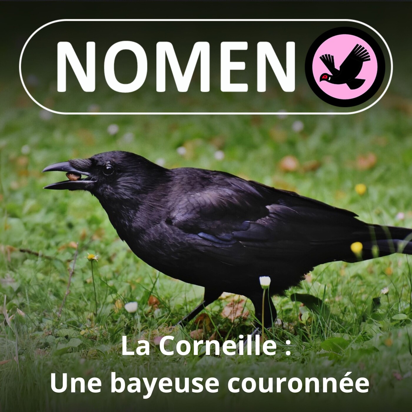 BEST OF D'ÉTÉ #14 : La Corneille craille, le Corbeau croasse, la caravane Nomen passe…