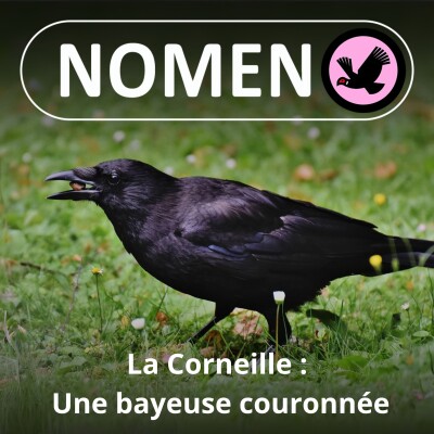 BEST OF D'ÉTÉ #14 : La Corneille craille, le Corbeau croasse, la caravane Nomen passe… cover