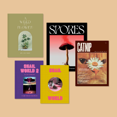Broccoli magazine's new beginnings cover