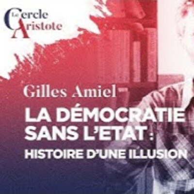 La démocratie sans l'Etat Histoire d'une impasse - G. Amiel - # politique cover