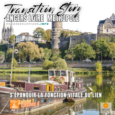 S'EPANOUIR LA FONCTION VITALE DU LIEN cover