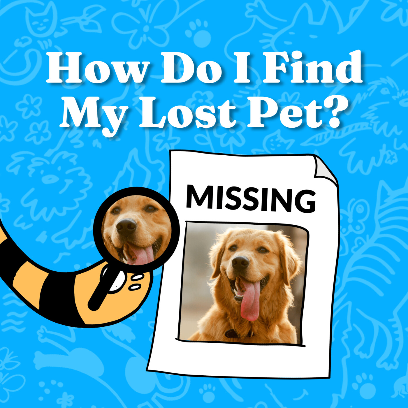 How Do I Find My Lost Pet? episode artwork