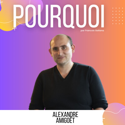 Faire de ses entreprises un terrain de jeux ‌- Alexandre Amigouët - Pourquoi cover