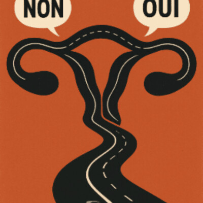 Missouri 1627 : Un road trip poignant sur les droits des femmes et l'amitié indéfectible à travers l'urgence** cover