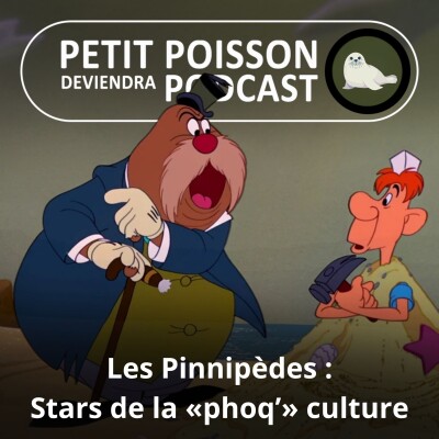 S05E38 Les Pinnipèdes : Stars de la "phoq'" culture cover