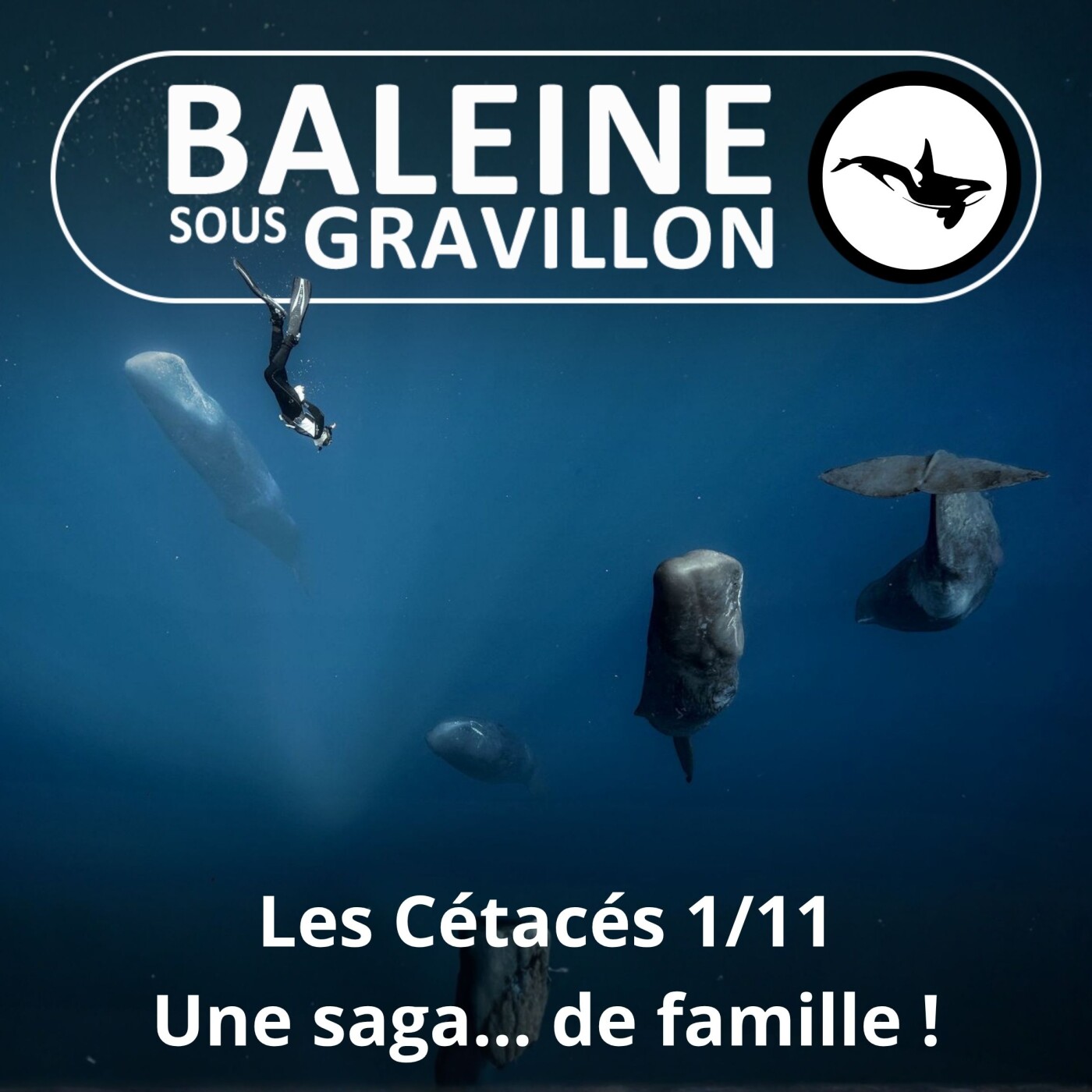 S03E58 Les Cétacés 1 : Une nouvelle saga... "de famille" (Charlotte Esposito) episode artwork