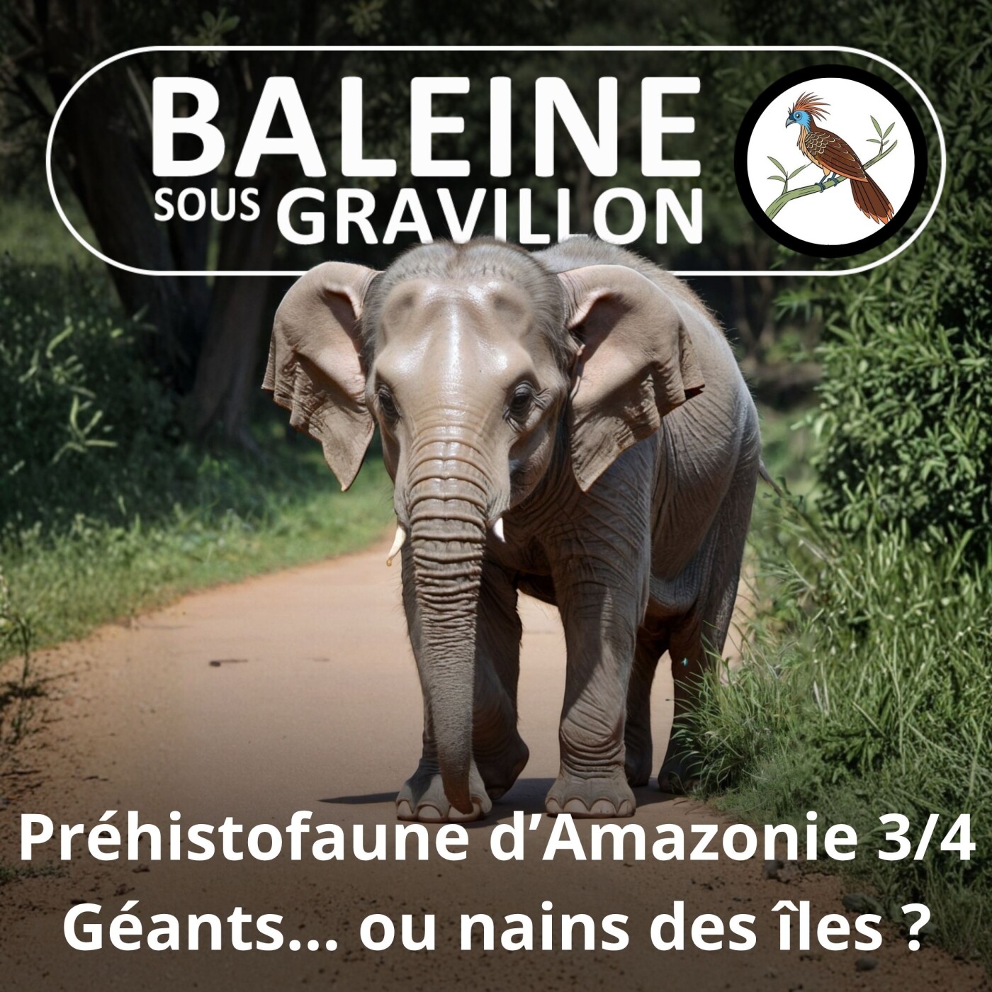 S05E48 Faune préhistorique d'Amazonie 3/4 : Gigantisme ou nanisme insulaire ? episode artwork