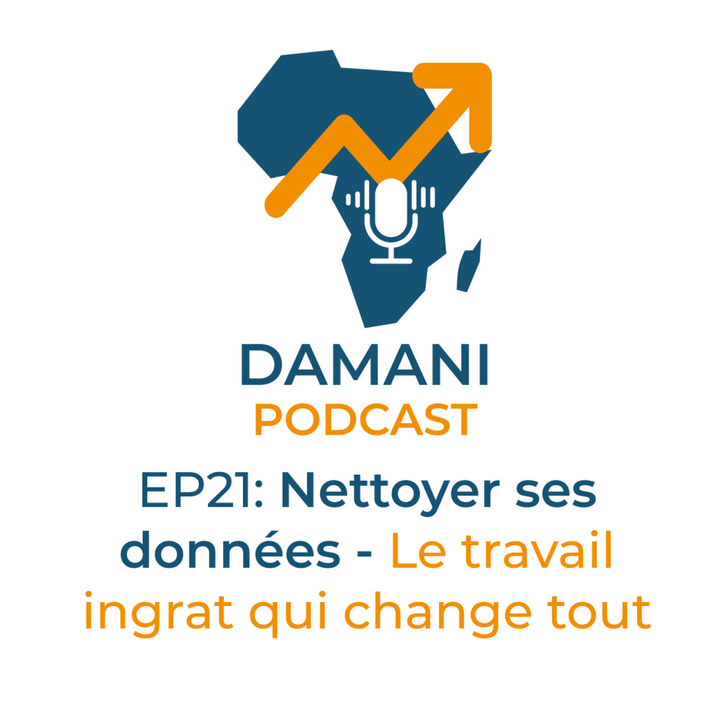 #21: Nettoyer ses données - Le travail ingrat qui change tout episode artwork