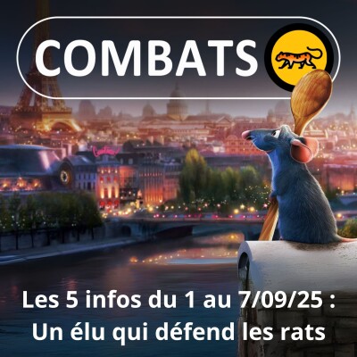S05E05 Les 5 infos de la semaine : Un élu de Paris défend... les rats ! cover