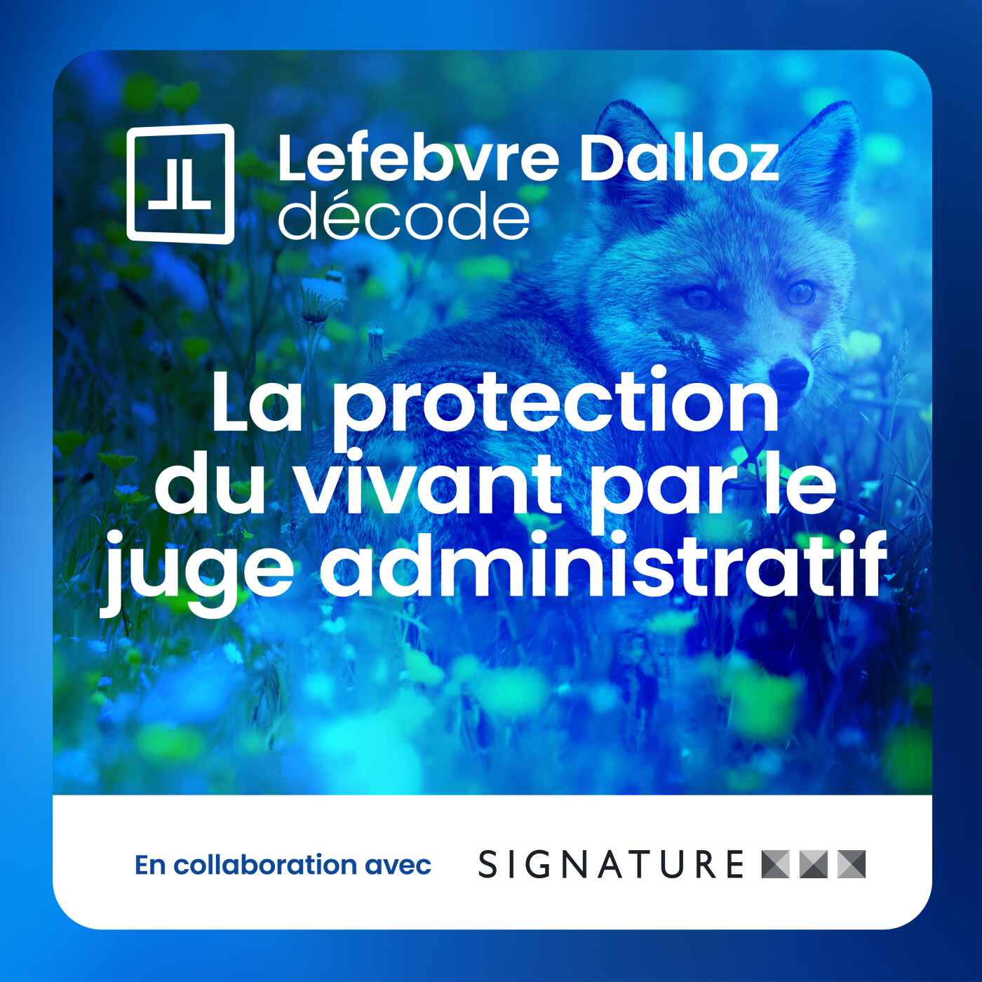 « Le rôle du juge administratif en matière environnementale a pris de l'ampleur ces dernières années »