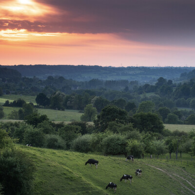 Road Trip en Normandie : gastronomie et patrimoine dans le Pays d’Auge cover