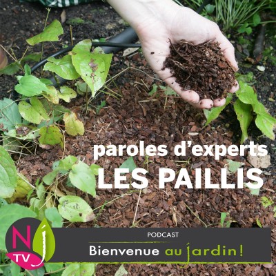 PAROLES D'EXPERT:POURQUOI ET COMMENT PAILLER ? cover