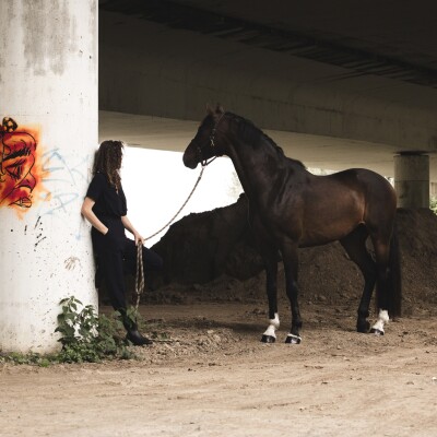 🔮 Comprendre le Profiling - Clé de l'Épanouissement Personnel, Professionnel et dans le Sport cover