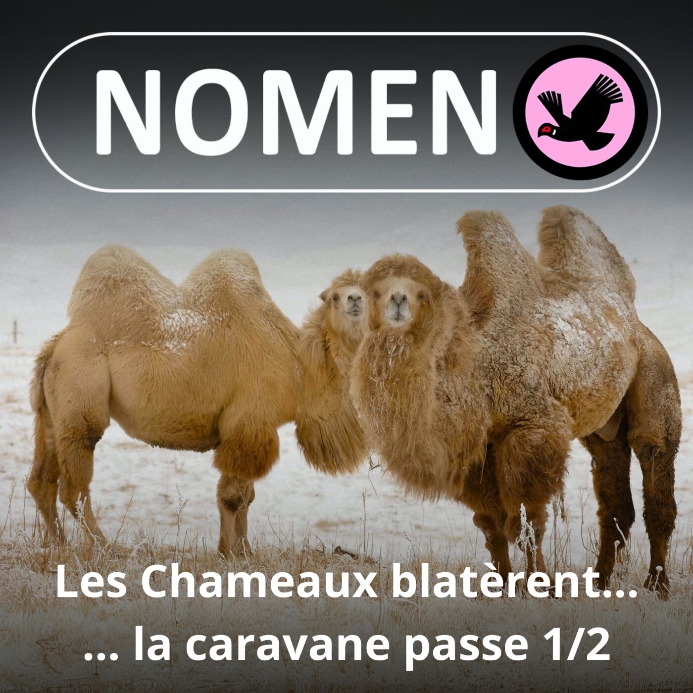 Nomen