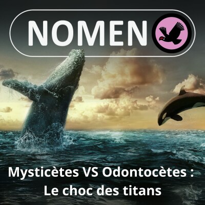 S05E09 Mysticètes versus Odontocètes : Le choc des titans cover