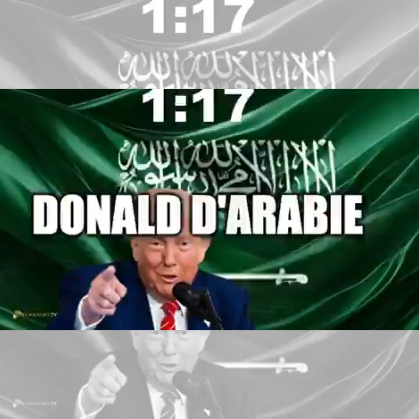 DONALD D'ARABIE