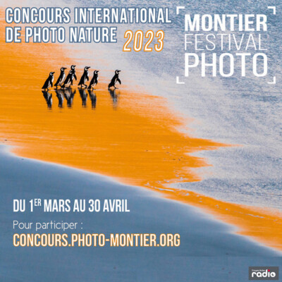 L'INVITÉE DU 6/9 - Emilie Gallois cover