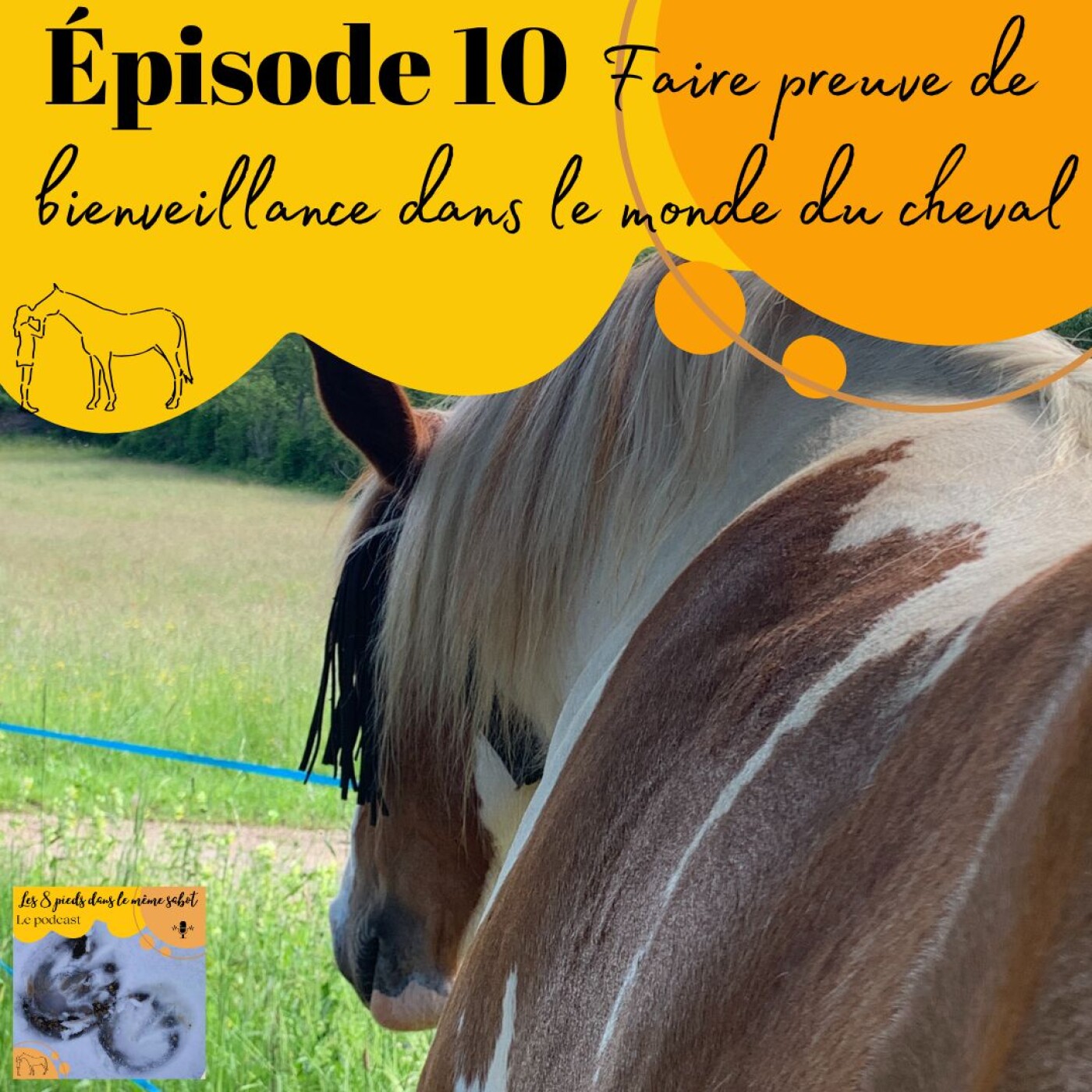 Les 8 pieds dans le même sabot