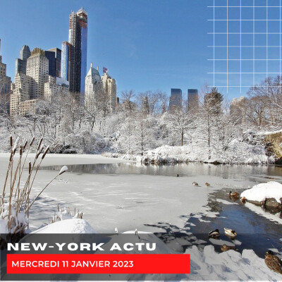 Mercredi 11 janvier cover