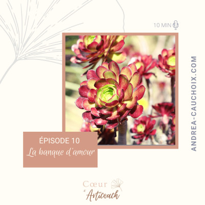 Show cover