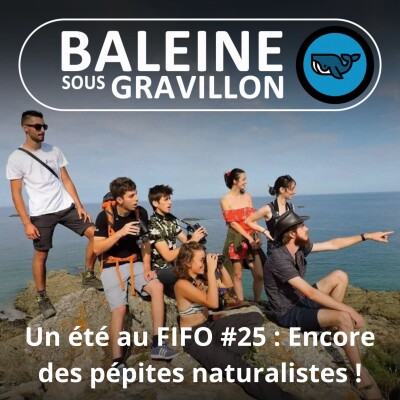 BEST OF D'ÉTÉ #25 : Encore des pépites naturalistes (Baptiste Chenay, CNER, Cercle naturaliste des Étudiants de Rennes) cover