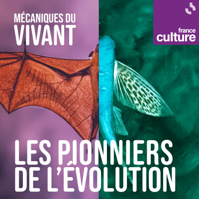 Mécaniques du vivant, saison 8 : Les pionniers de l'évolution cover