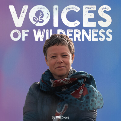 (57) "The Truth Behind the ‘Big Bad Wolf’" with Claire Galloni D'Istria cover