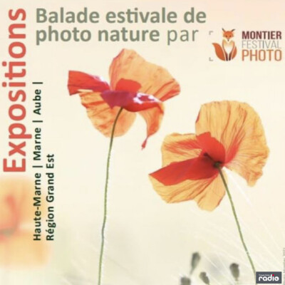 L'INVITÉ DU 6/9 - Christophe Pereira cover