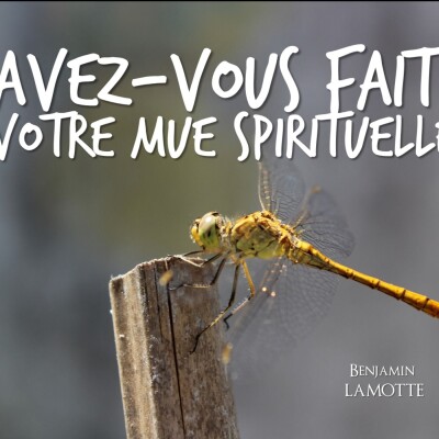 Avez-vous fait votre mue spirituelle ? 1 cover