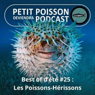 BEST OF D'ÉTÉ #24 : Les Poissons-Hérissons : Ceinture et bretelles, gonflables et épineux ! cover