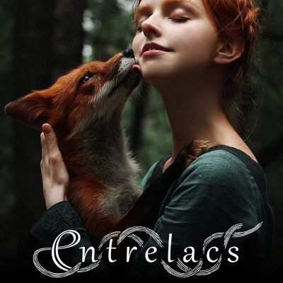 #16 Une expérience du Travail qui relie - Le long souvenir cover