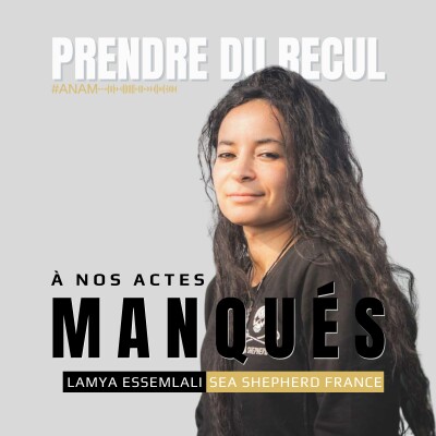 Lamya Essemlali - Ce que la mer lui a appris. cover