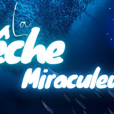 Parole et Évangile du jour | Jeudi 5 septembre • N'allez pas dans la nuit ! cover