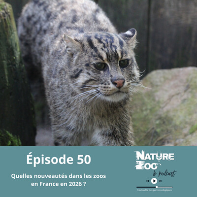 Épisode 50 (NOUVEAUTÉS) - Quelles nouveautés dans les zoos en France en 2026 ? cover