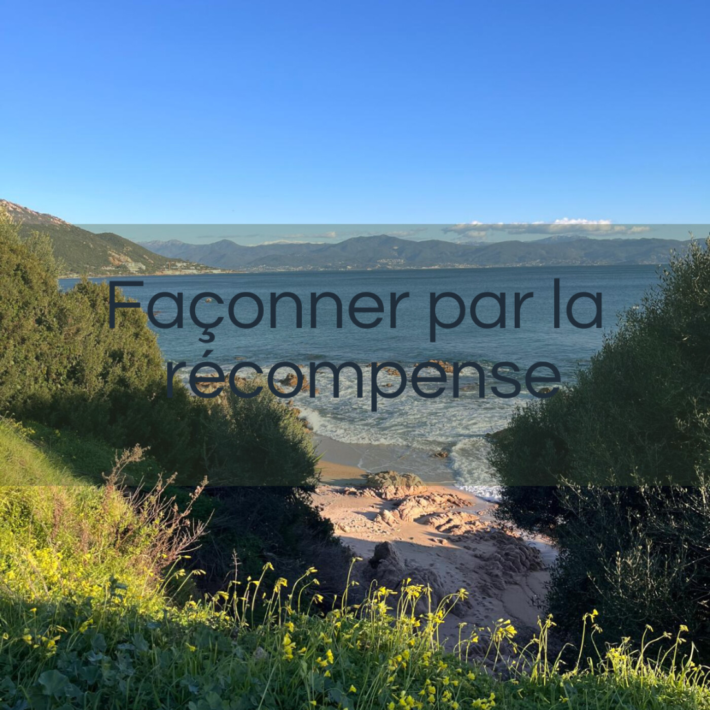 Façonner par la récompense