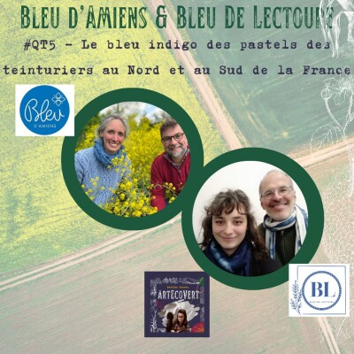 QAT Jour 5 de la Quinzaine de L' Agriculture Tinctoriale : Le bleu de Pastel avec le Bleu de Lectoure et Bleu d'Amiens cover