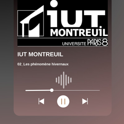 IUT:02_Les phénomenes hivernaux cover