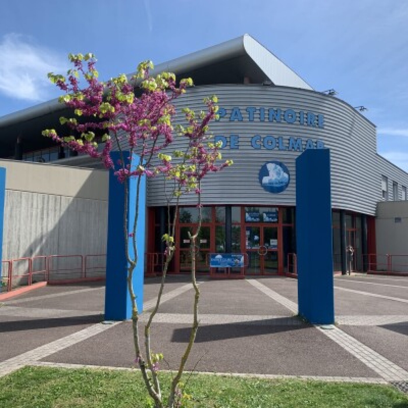 Colmar : La programmation du mois de mars à la patinoire episode artwork