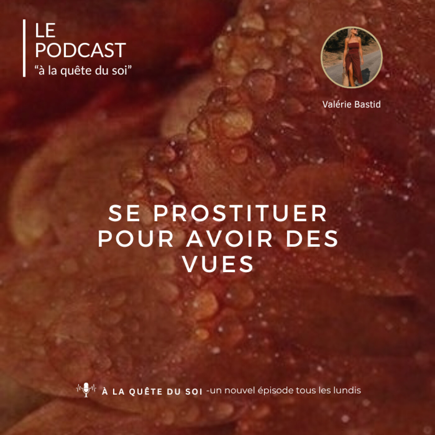 Se prostituer pour des vues episode artwork