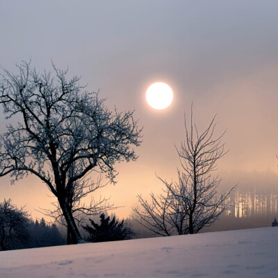 Après le solstice, place à la lumière ! cover