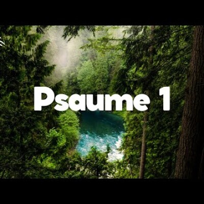 Psaume 1 • La voie des béatitudes que tous recherchent, mais que peu trouvent cover