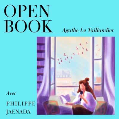 [Coup de coeur] Entre polar et archives, comment écrire le récit d'un procès ? Avec Philippe Jaenada cover
