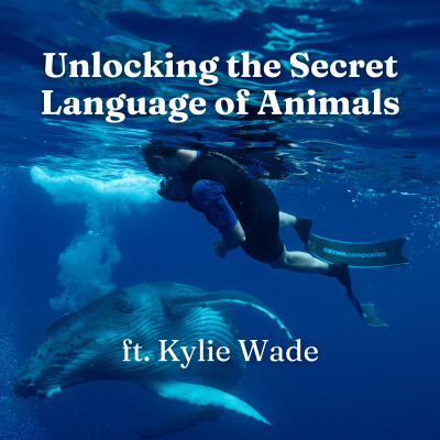 Unlocking the Secret Language of Animals ft. Kylie Wade for Pet Parents, Dogs, Cats, Pets cover
