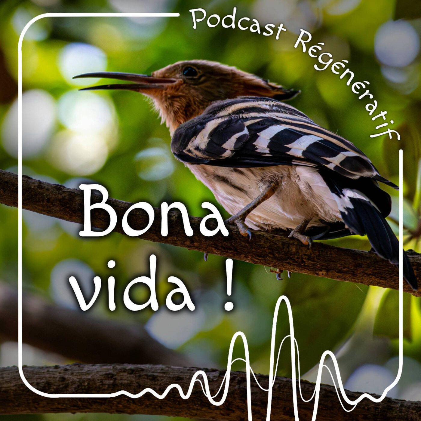 Bona Vida !