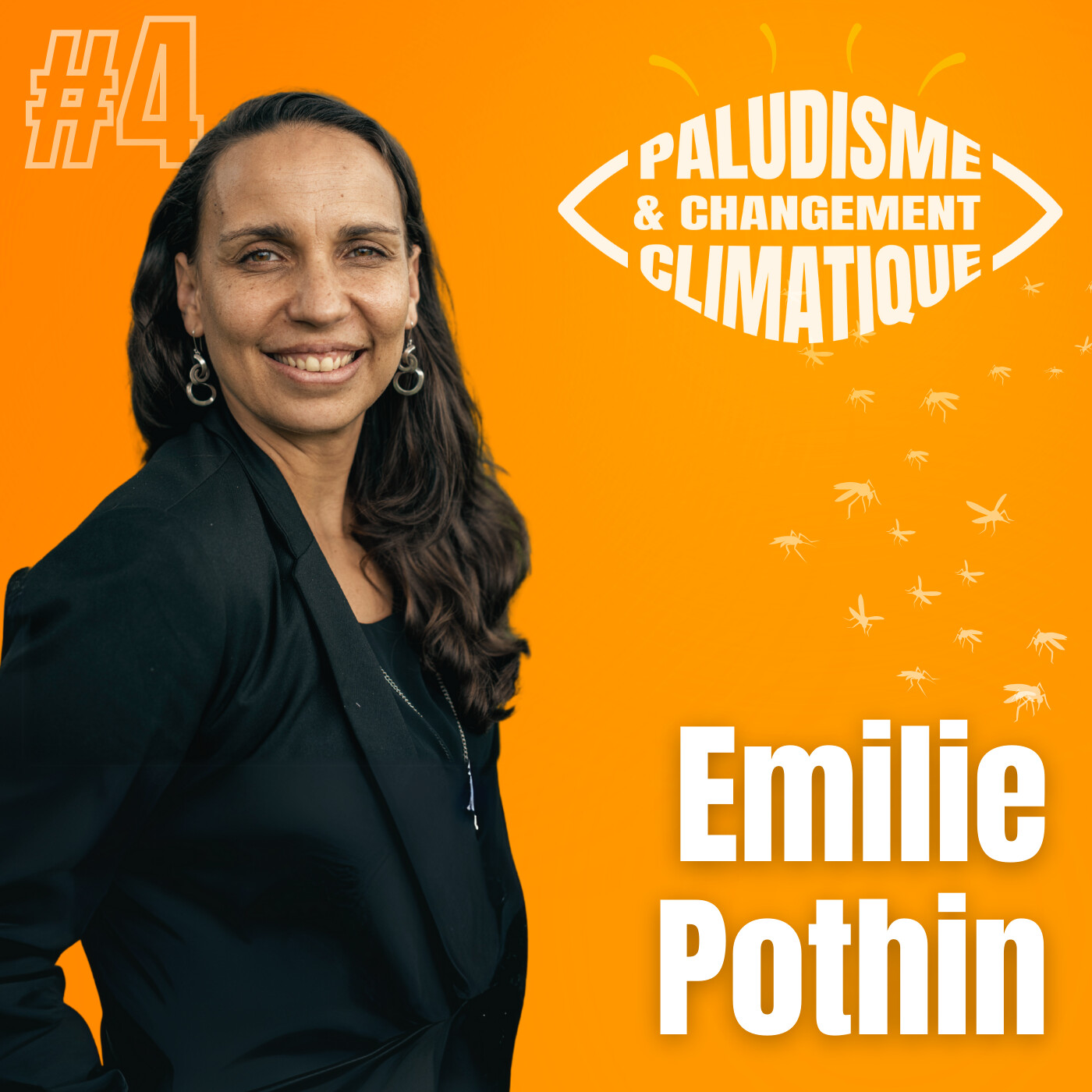 #4. Lutter contre le paludisme, prioriser les meilleures réponses (avec Emilie Pothin) episode artwork