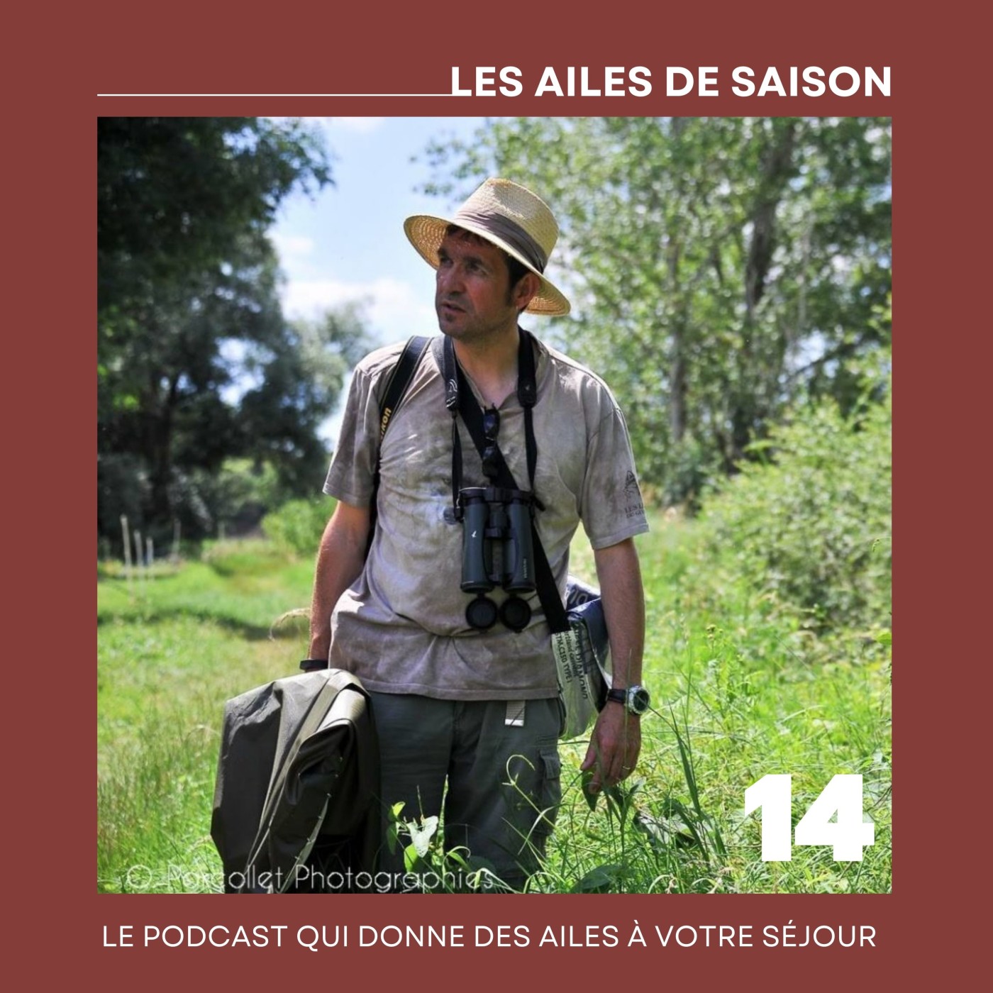Les ailes de saison