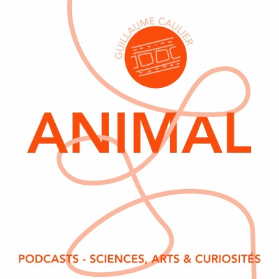 Épisode 69 - Animal cover