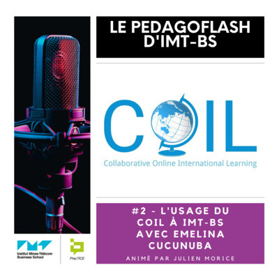 #2 - L'usage du COIL à IMT-BS avec Emelina Cucunuba cover